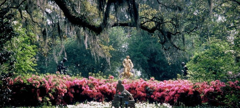 Brookgreen Gardens named among top public gardens in U.S.