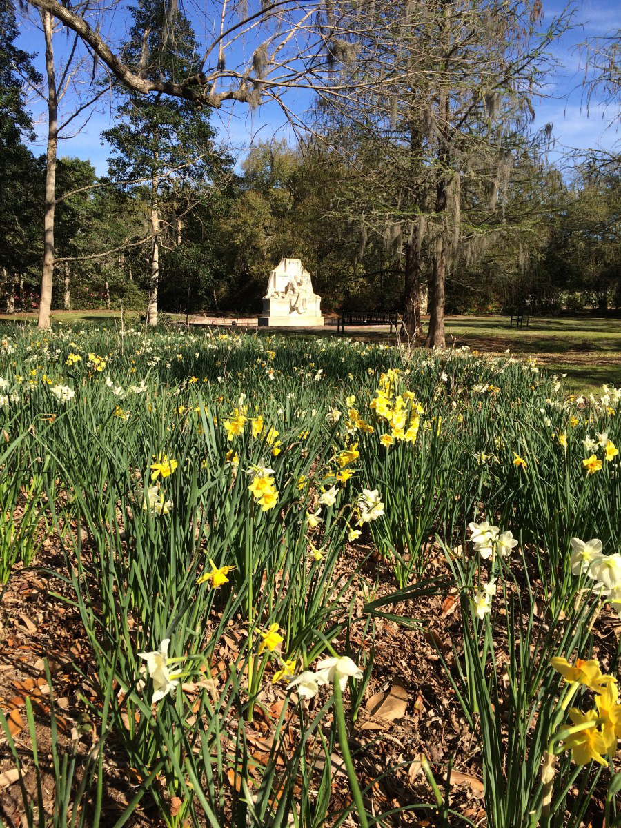 Myrtle Beach Photos Brookgreen Gardens Signs of Spring