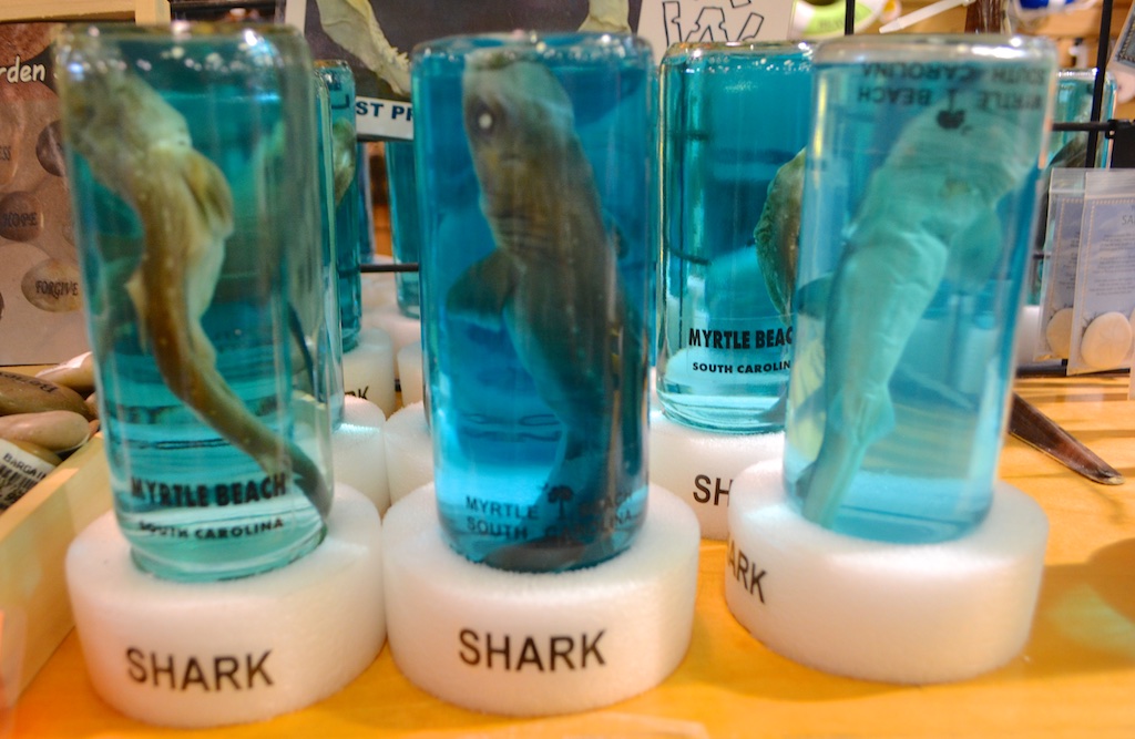 1. Shark Fetus - $12.99