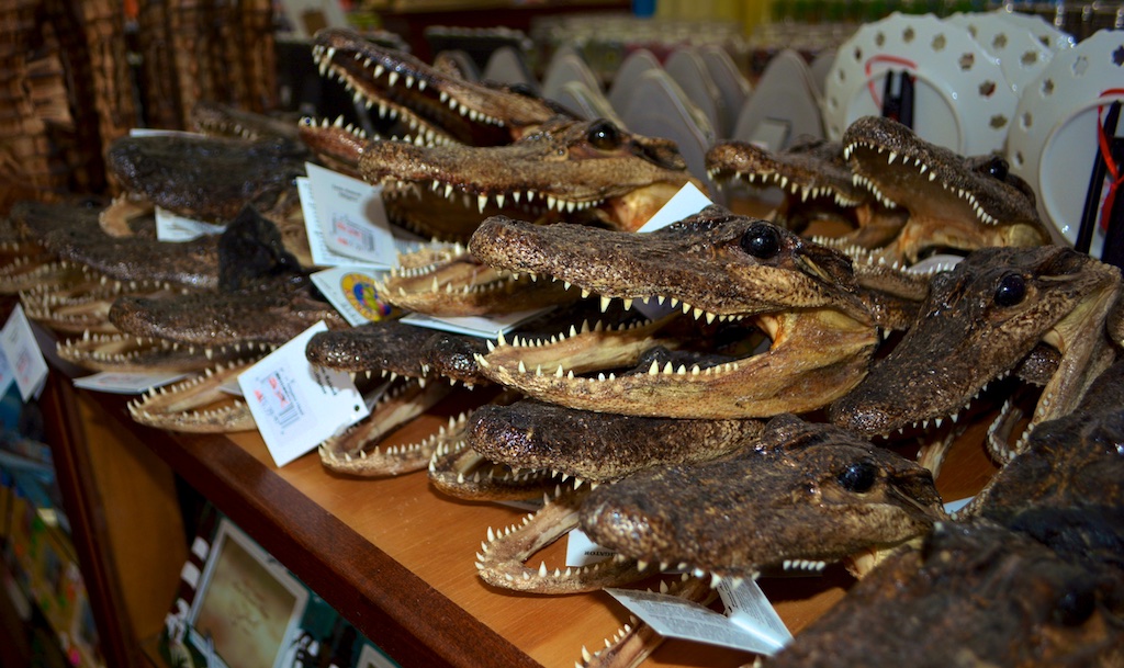 7. Alligator heads - $12.99