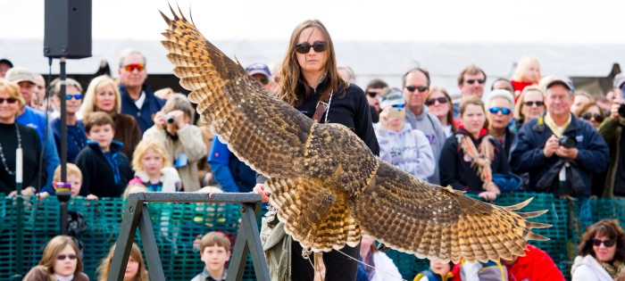 Day Tripping: Check out Charleston’s Center for Birds of Prey