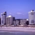 Palmetto Shores