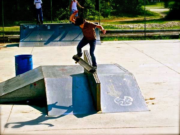 Matt Hughes Skateboard Park