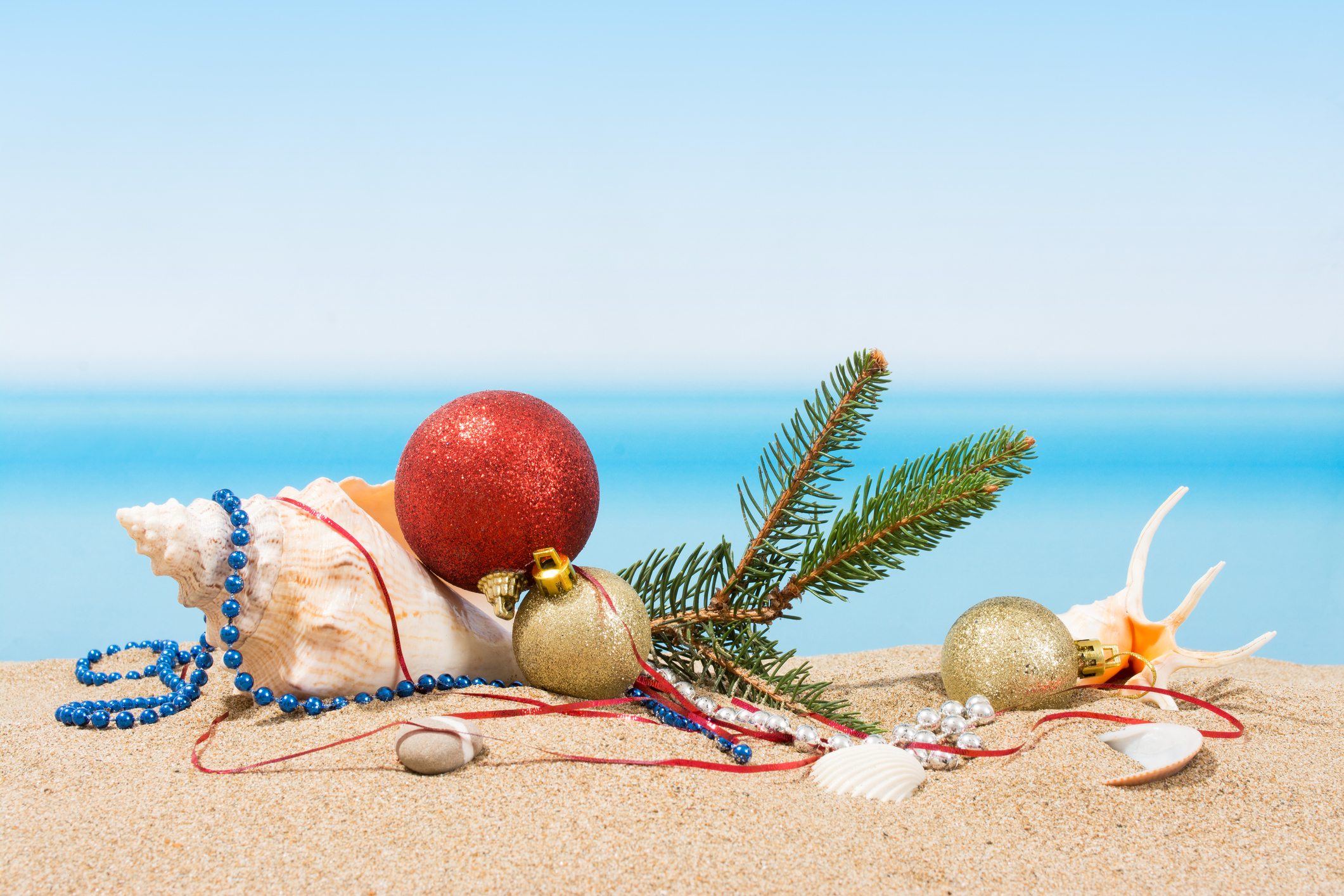 Top 10 Things to do in Myrtle Beach in December