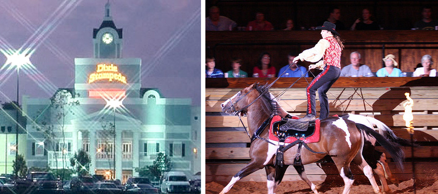 5| Seeing a Show at Dixie Stampede
