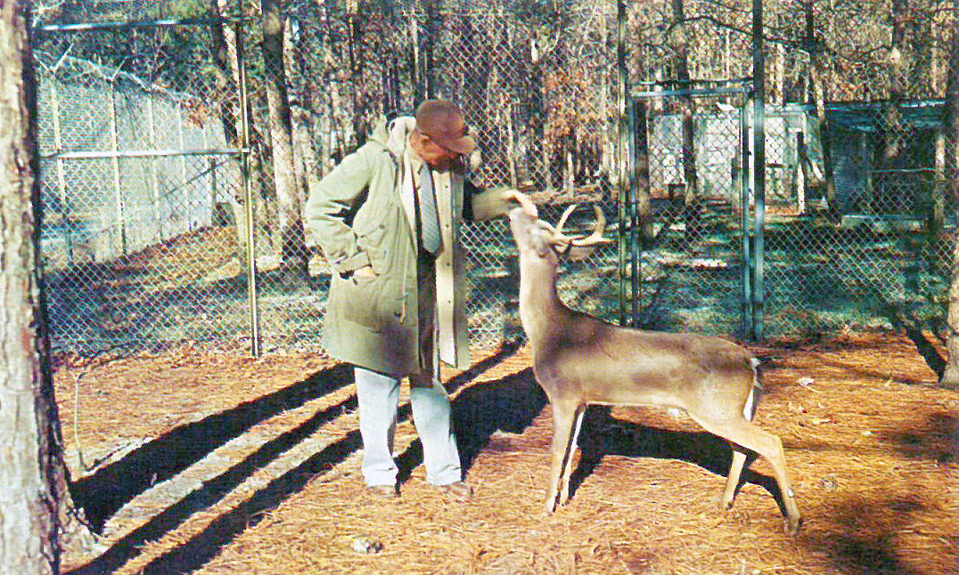 10. This guy hanging with a deer at Brookgreen Zoo