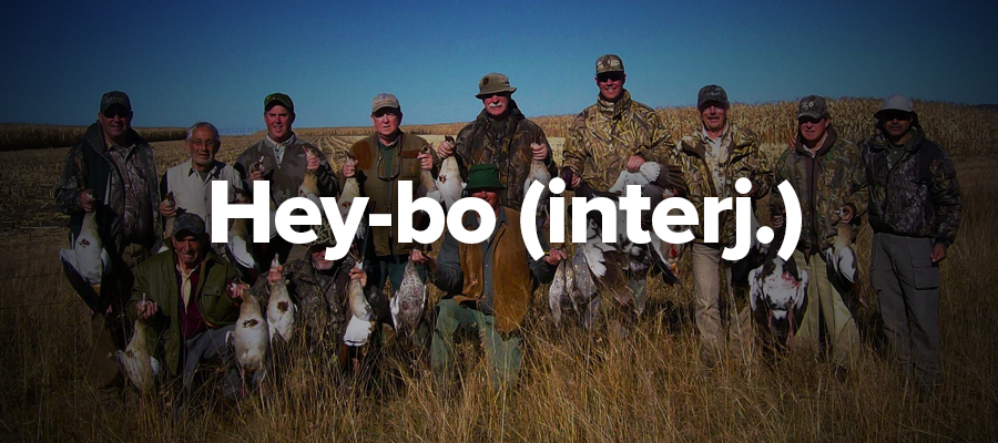 Hey-bo Hey-bo