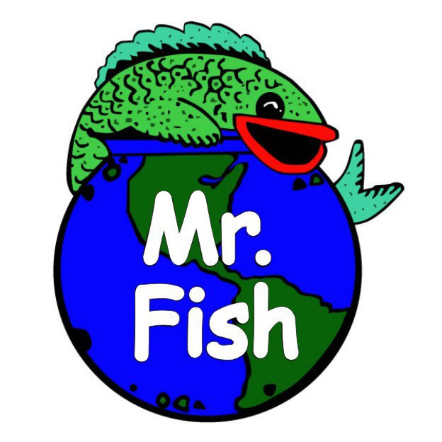 1. Mr. Fish