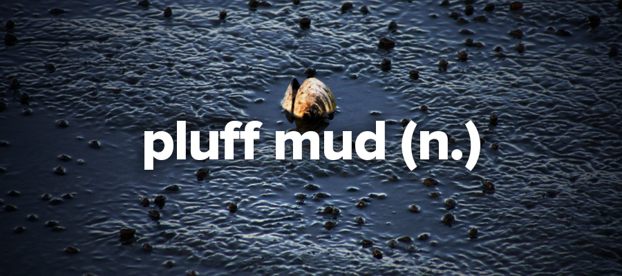 23. Pluff mud