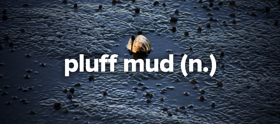Pluff mud Pluff mud
