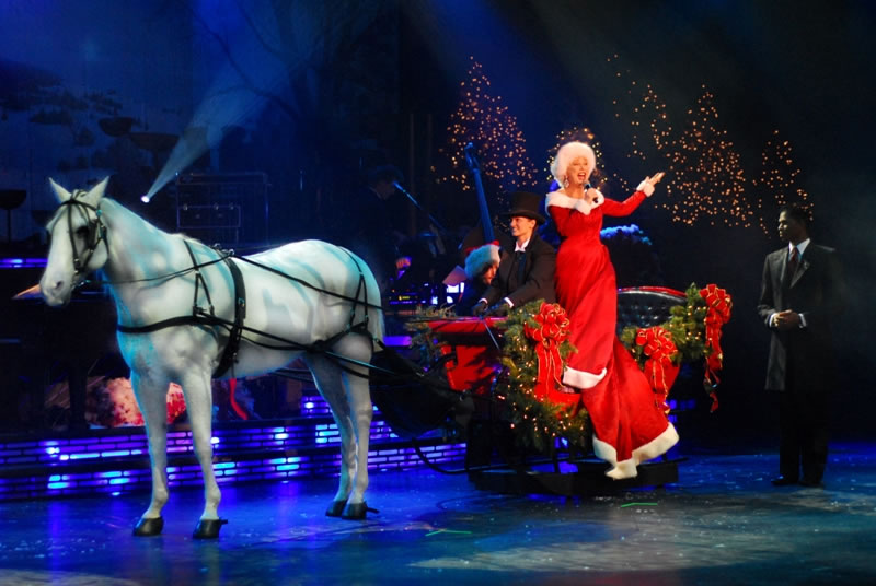 Carolina Opry Christmas Special Will Put a Smile on Any Face