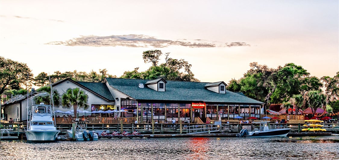 Dead Dog Saloon