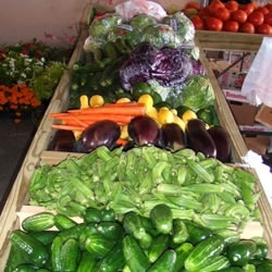 Deville Street Farmer's Market