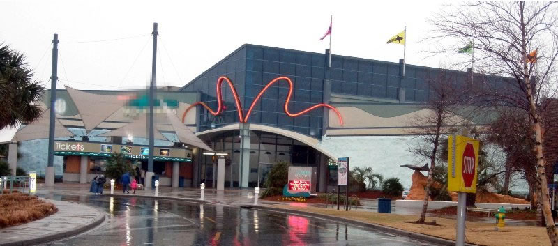 Ripley’s Aquarium Kicks off New Shark Exhibit