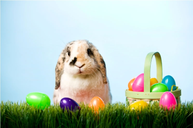Terry’s Top 10: Things to do During Easter Week
