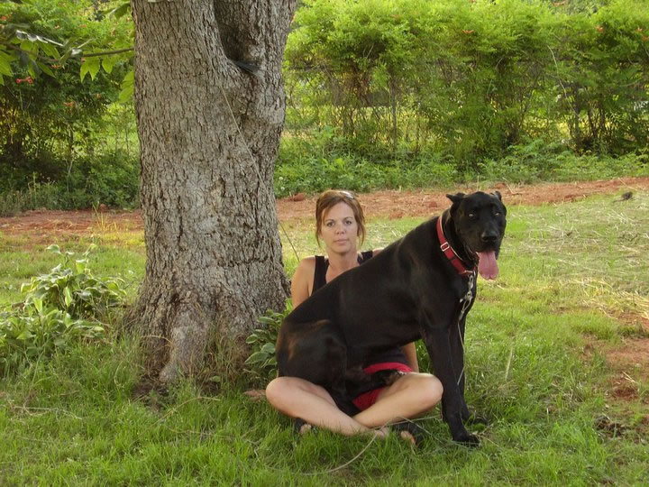 Facebook Fan Feedback