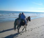 Horseback Riding of Myrtle Beach