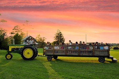 Thompson Nursery Petting Zoo