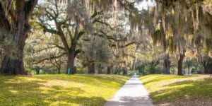 Brookgreen Gardens Video