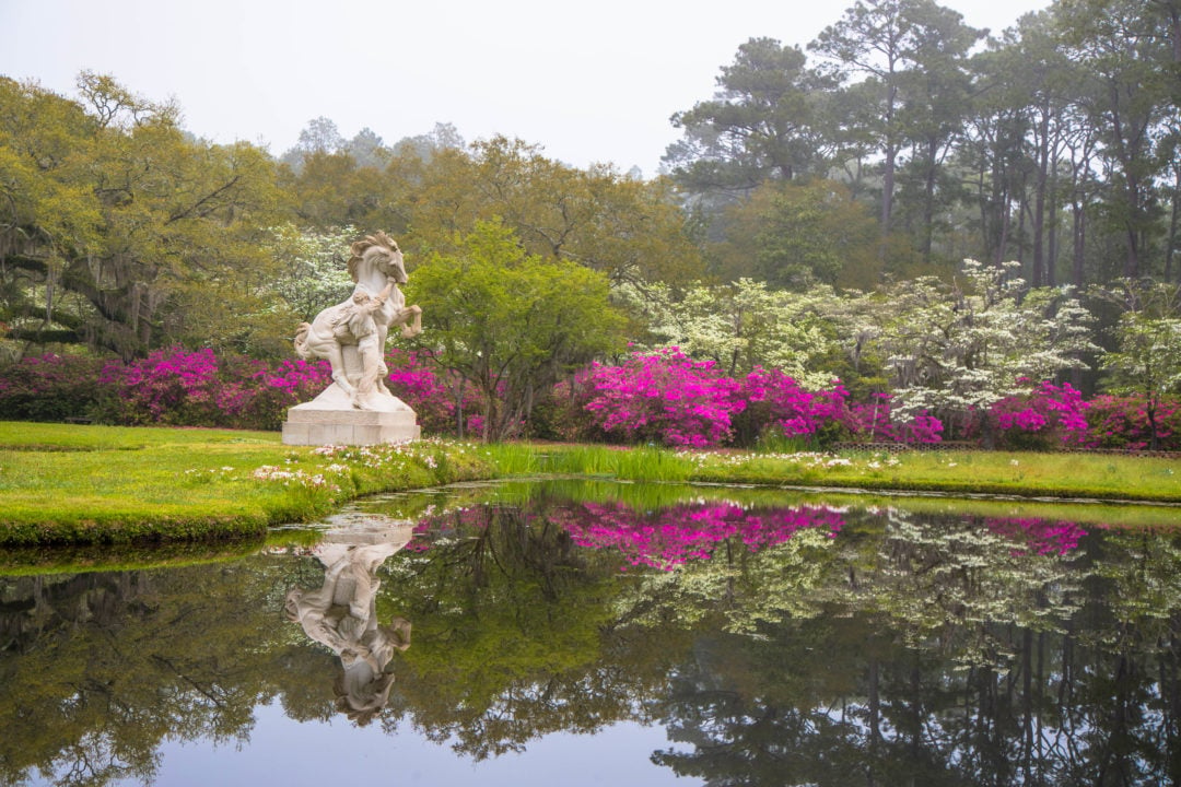 Brookgreen Gardens Insider Tips