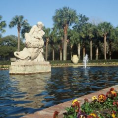 Lowcountry Zoo at Brookgreen Gardens