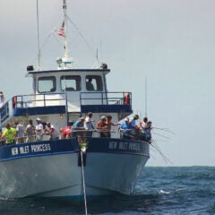 Crazy Sister Marina Fishing & Cruises