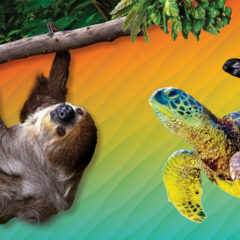 Ripley’s Aquarium