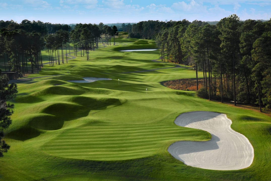 Wild Wing Plantation Avocet Course Golf Courses