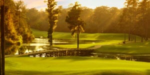 The Witch Golf Course