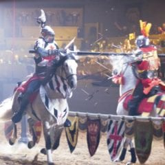 Medieval Times Dinner & Tournament