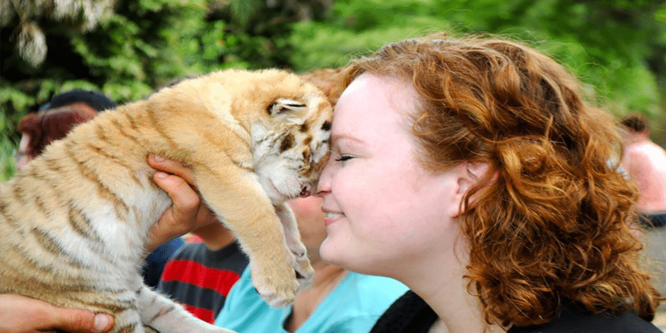 Myrtle Beach Safari