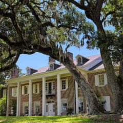 Hobcaw Barony