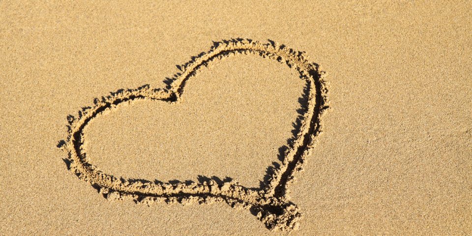 Celebrate Valentine's Day Celebrate Valentine's Day