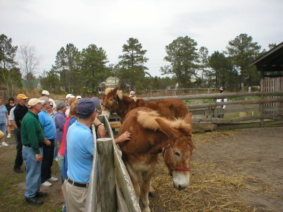 Freewoods Farm