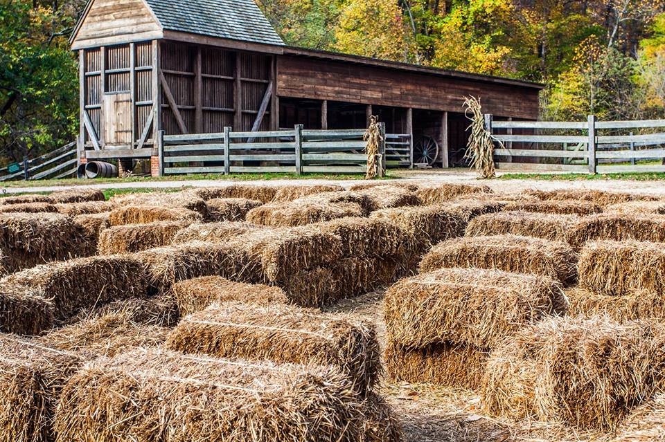 Aynor Harvest Hoedown Festival