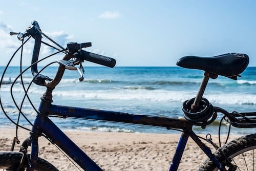 Bike Rentals Bike Rentals