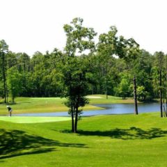 Tupelo Bay Golf Center