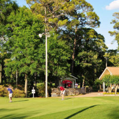 Cane Patch Driving Range