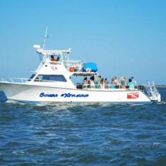 Boat Cruises