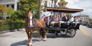 20% Off at Le Grand Cirque 20% Off at Le Grand Cirque