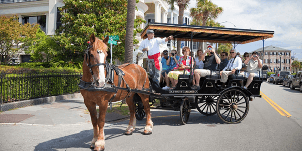 Take a Day Trip to Charleston