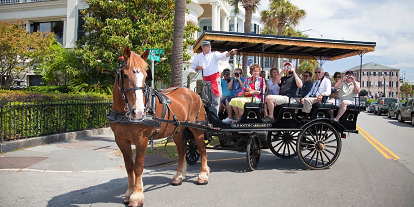 myrtle beach bus tours to charleston