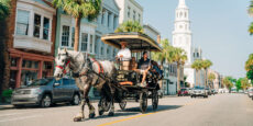 Day Trips to Charleston