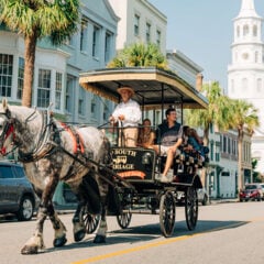 Day Trips to Charleston