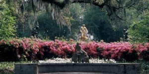 Earth Day Festival at Brookgreen Gardens