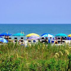 102 Things to Do in Myrtle Beach