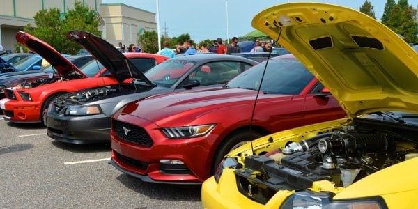 Mustang Stampede