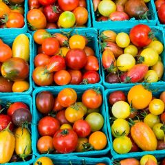 Farmer’s Markets