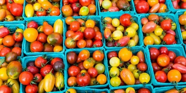 Farmer’s Markets