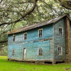 Hobcaw Barony